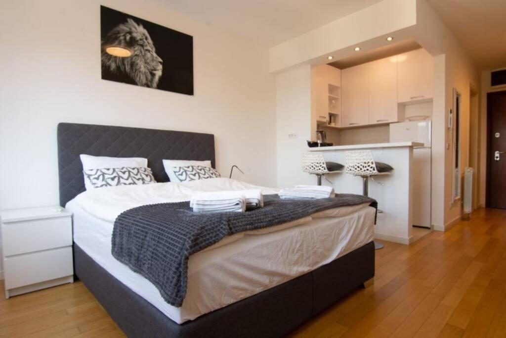 A Blok New Modern - Free Garage Parking, Comfortable, Quiet With A Park View Belgrad Dış mekan fotoğraf